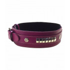 302-BOYSENBERRY